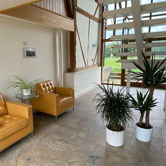 Plant_Lobby