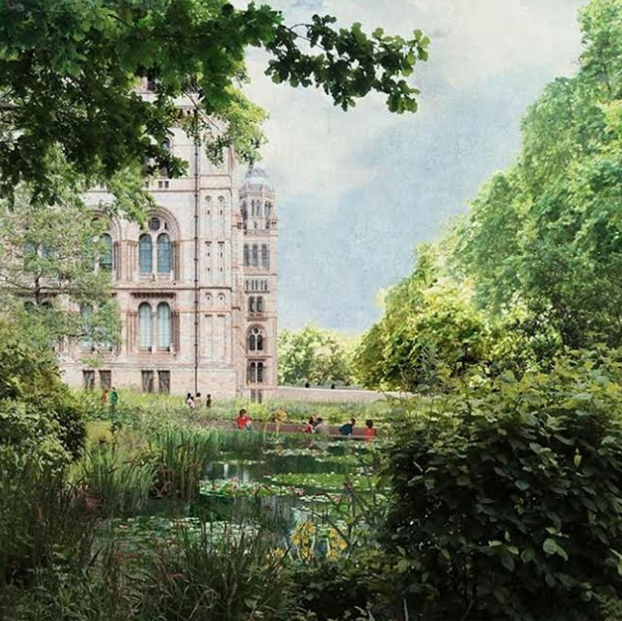 The Urban Nature Project