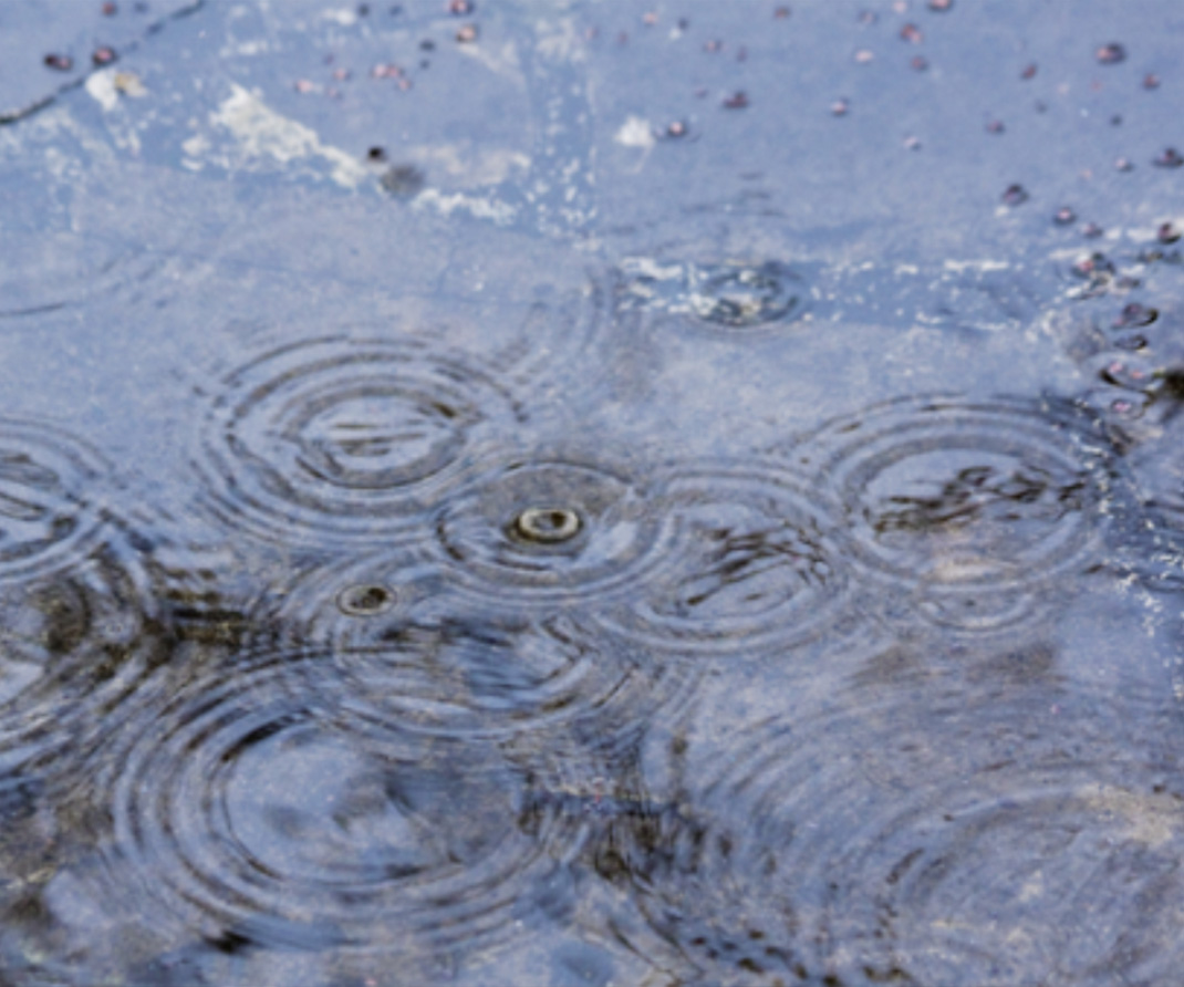 What you need to know about PCBs and PFAS – AKA ‘The Forever Chemicals’